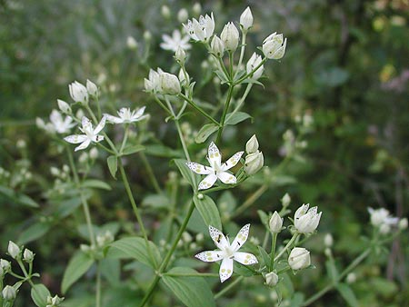 �A�P�{�m�\�E