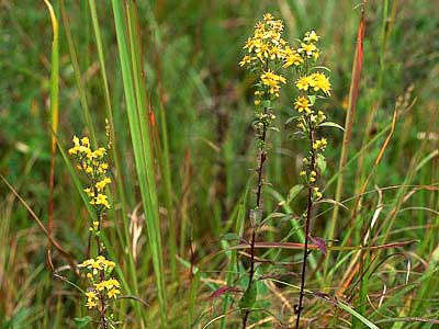 �A�L�m�L�����\�E