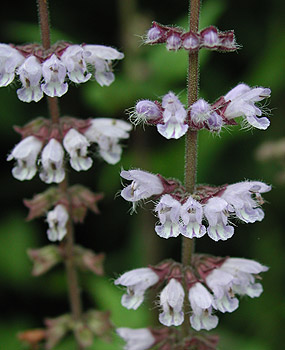 �A�L�m�^�����\�E