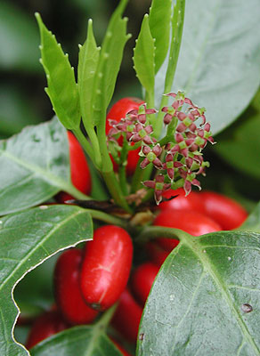 �A�I�L����