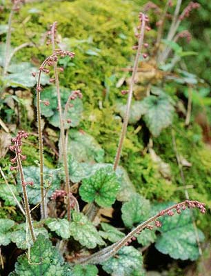 �`���������\�E