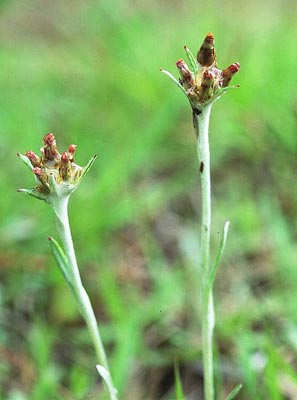 �`�`�R�O�T