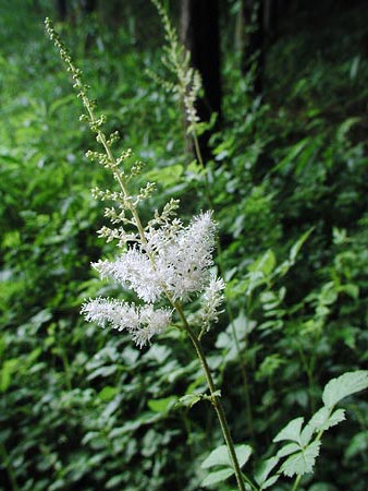 �`�_�P�T�V