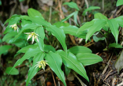 �`�S����