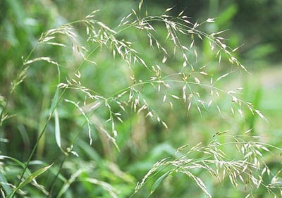 �`�����M�K��