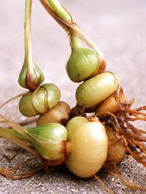 �`�����M�K��