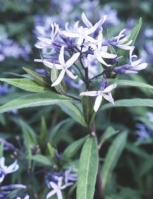 �`���E�W�\�E