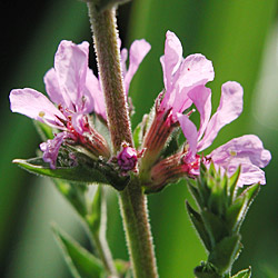 �G�]�~�\�n�M