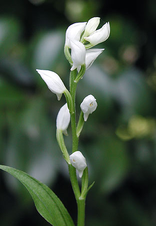 �M������