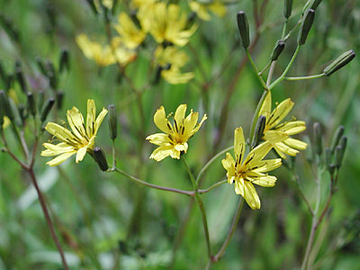 �n�i�j�K�i