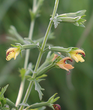 �q�L�����M