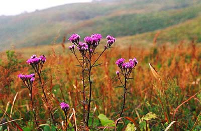 �q���q�S�^�C