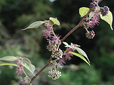 �q���R�E�]