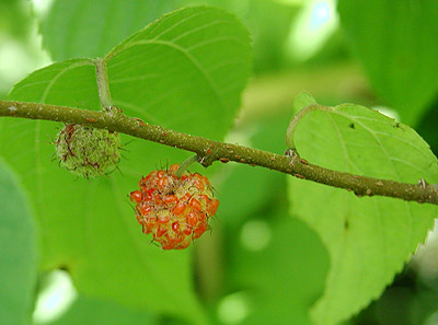 �q���R�E�]