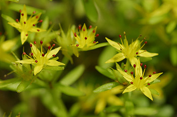 �q�������Q