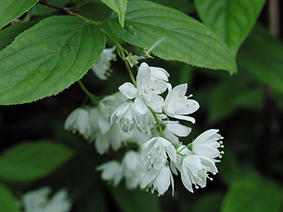 �q���E�c�M