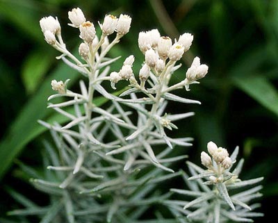 �z�\�o�m���}�n�n�R