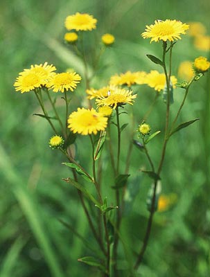 �z�\�o�I�O���}