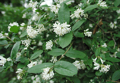 �C�{�^�m�L