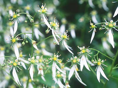 �W���W�\�E