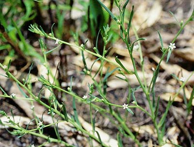 �J�i�r�L�\�E