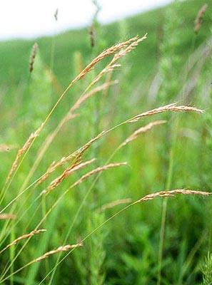 �J�j�c���O�T