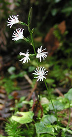 �L�b�R�E�n�O�}