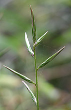 �L�b�R�E�n�O�}