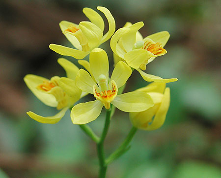 �L������