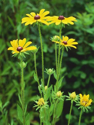 �L�k�K�T�M�N