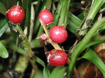 �L�`�W���E�\�E