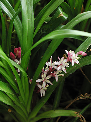 �L�`�W���E�\�E