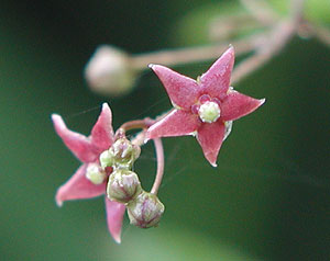 �R�J�����d��