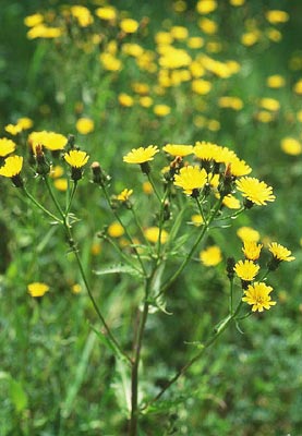 �R�E�]���i