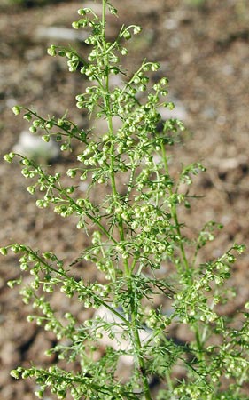 �N�\�j���W��