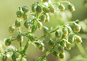 �N�\�j���W��