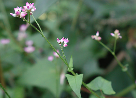 �}�}�R�m�V���k�O�C