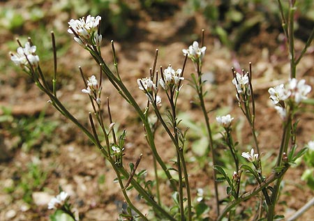 �~�`�^�l�c�P�o�i