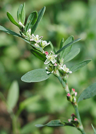 �~�`���i�M