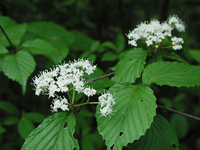 �~���}�K�}�Y�~