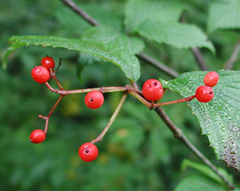 �~���}�K�}�Y�~