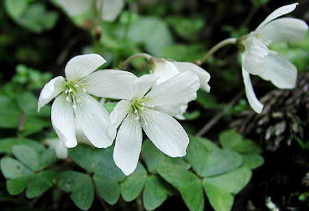 �~���}�J�^�o�~