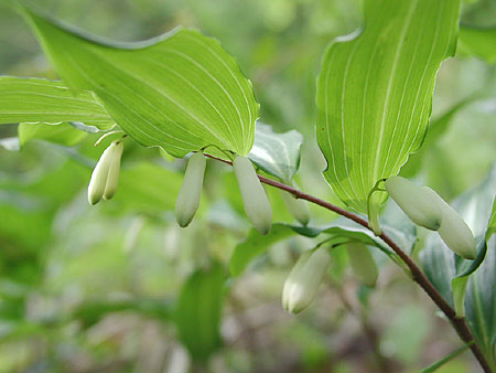 �~���}�i���R����