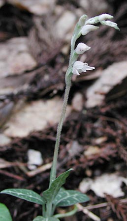 �~���}�E�Y��