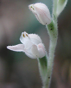 �~���}�E�Y��