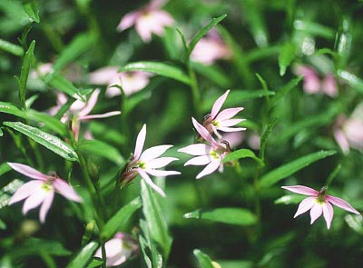 �~�]�J�N�V