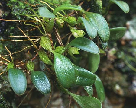 ���M����