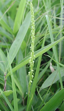 ���J�S�\�E