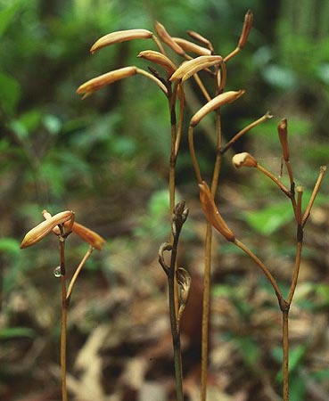 �����E����