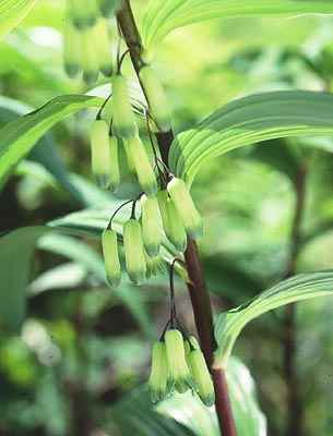 �i���R����